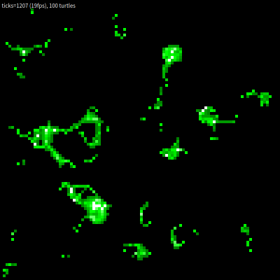 04-slimemolds