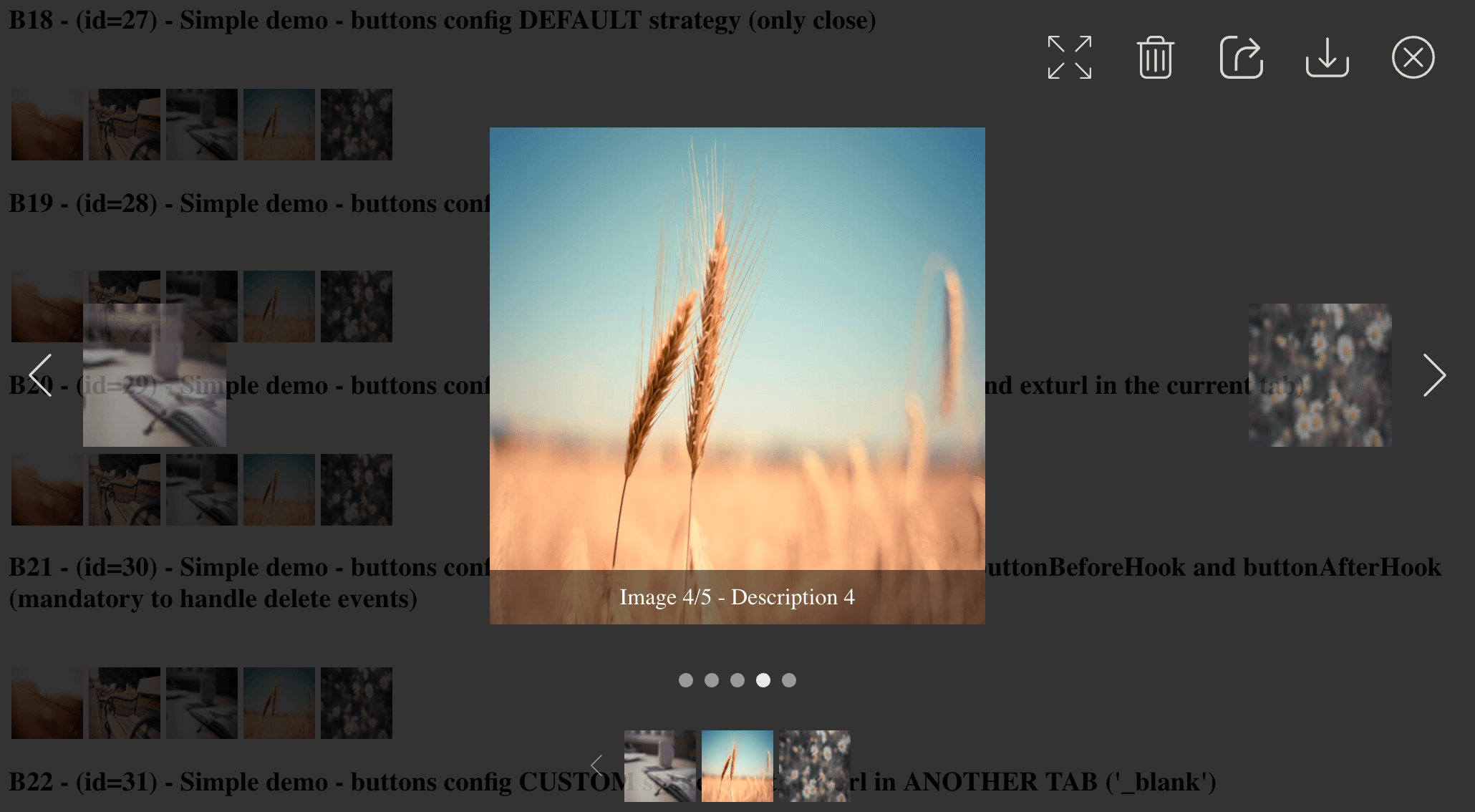 Modal gallery with buttons