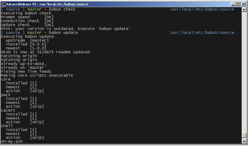 babun - a Windows shell you will love!