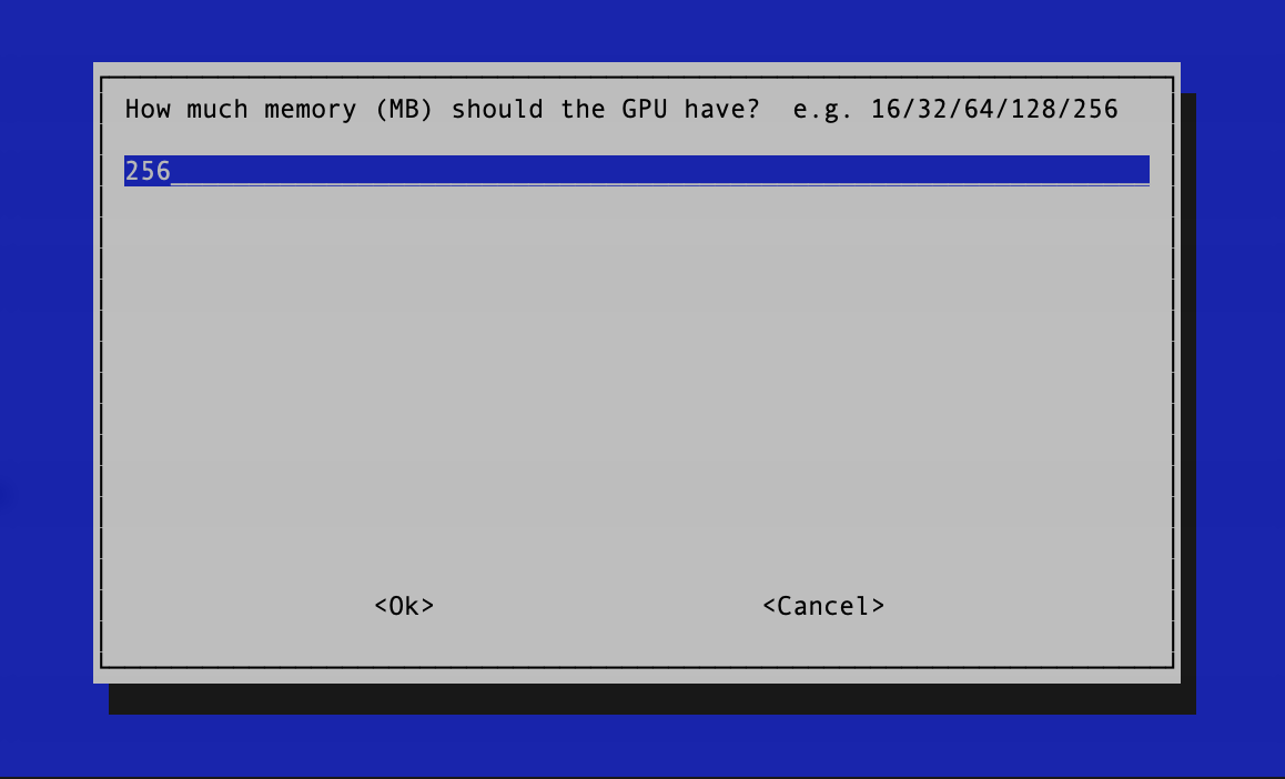 [Adjust GPU Memory in raspi-config]