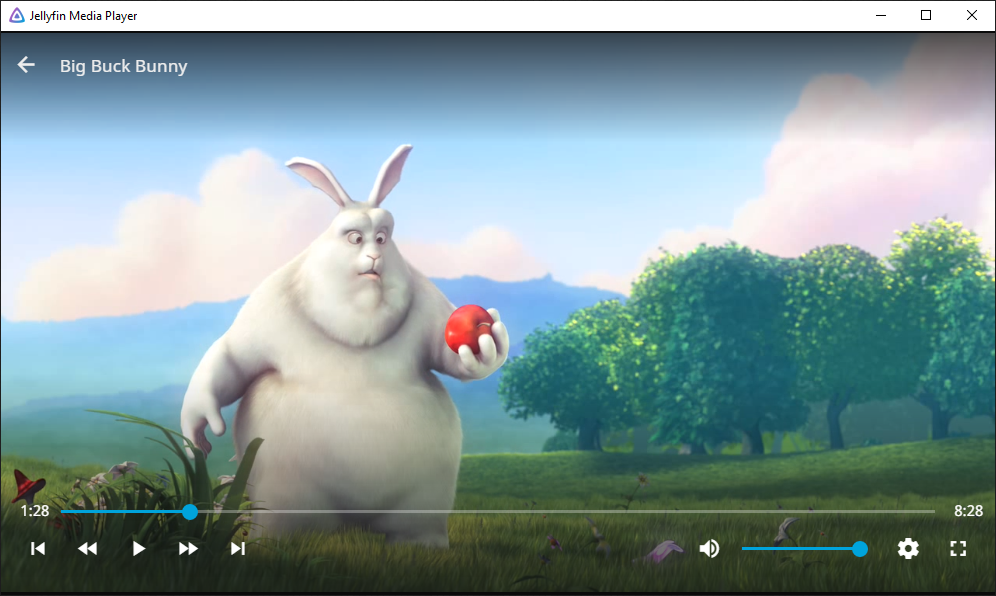 Screenshot of Jellyfin Media Player