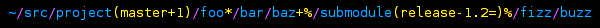 ~/src/project(master+1)/foo*/bar/baz+%/submodule(release-1.2=)%/fizz/buzz