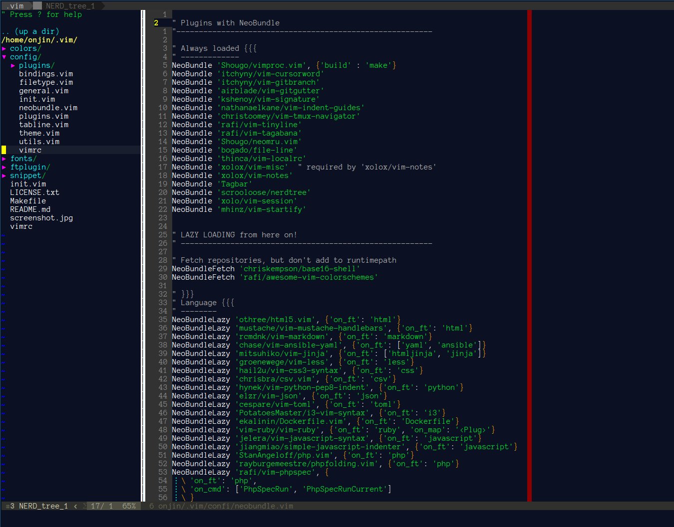 vim startup script