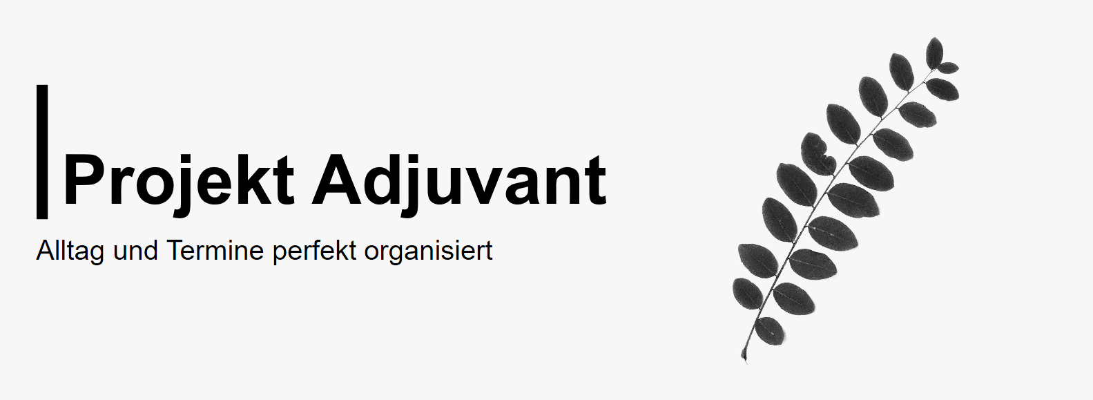 Adjuvant