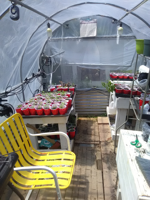 Greenhouse Structure Interior