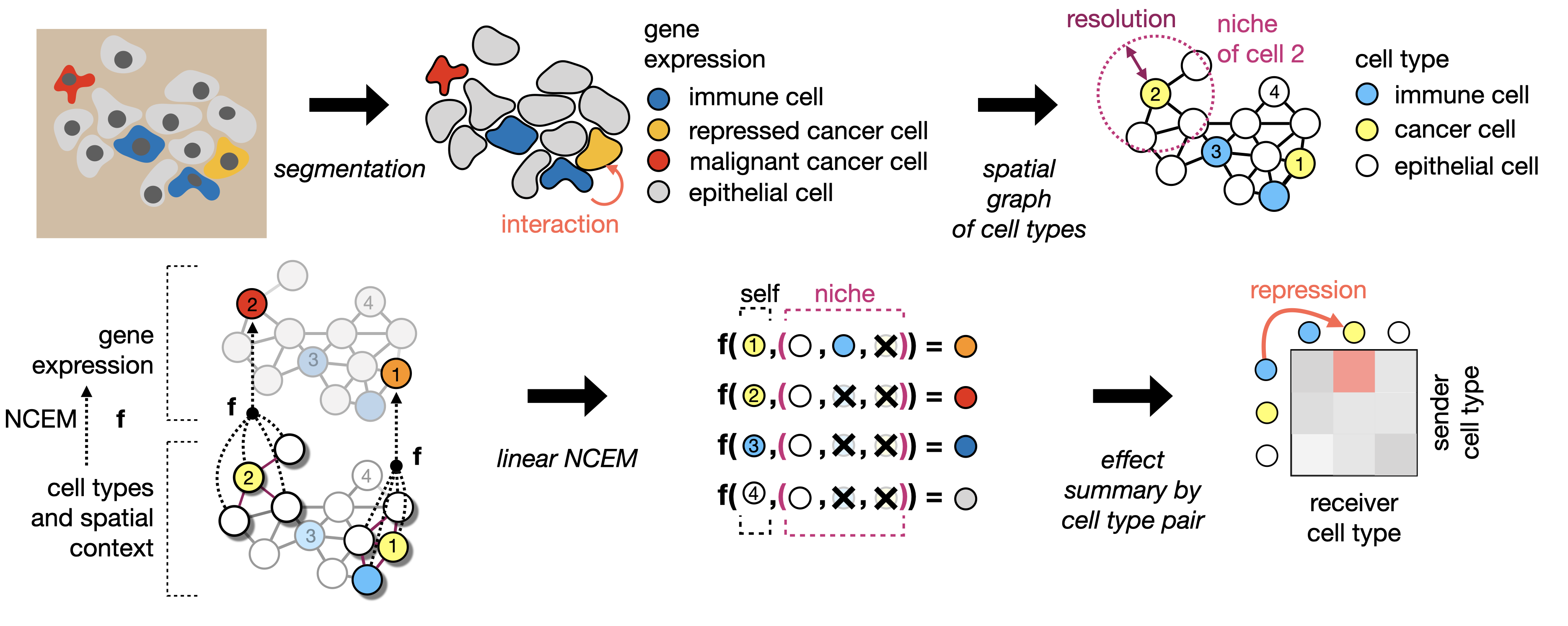 ncem concept