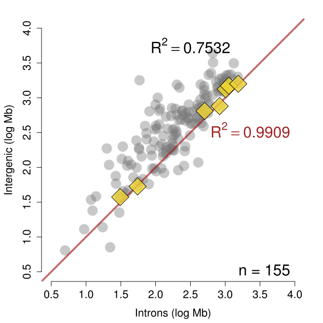 large_intron_intergenic_log_plot.png